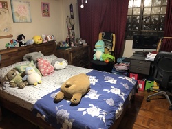 Blk 406 Pandan Gardens (Jurong East), HDB 5 Rooms #210584411
